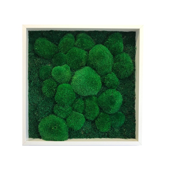 Medium Rectangular Mixed Moss Wall Art